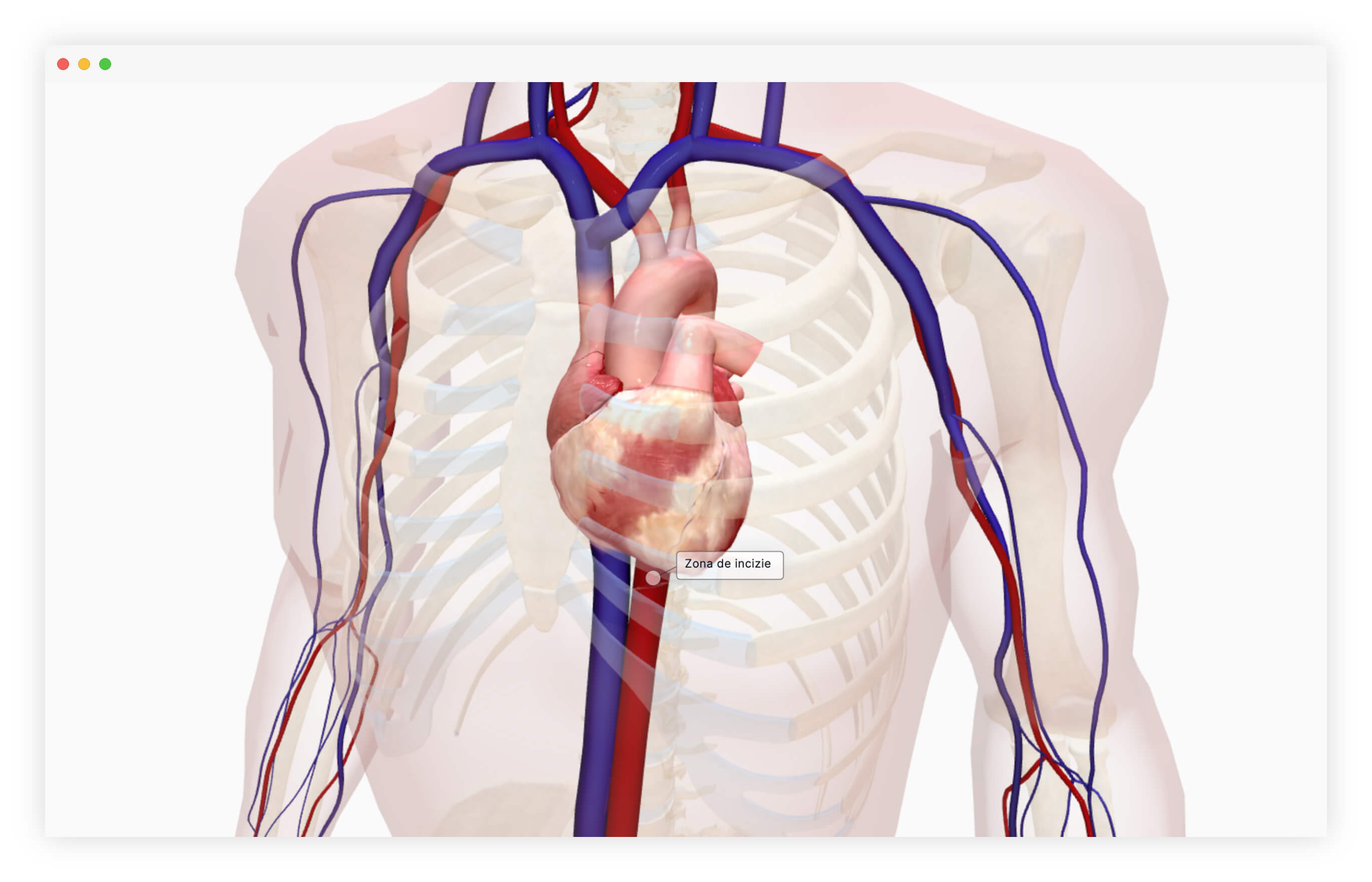 loop recorder implantabil